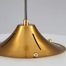 Светильник подвесной Lightera Tekapo LE127L-60G 3