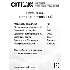 Настенный светильник Citilux Ива CL918009 2