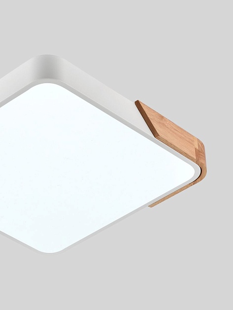 Потолочный светодиодный светильник Natali Kovaltseva LED LAMPS 81410 изображение 4 Потолочный светодиодный светильник Natali Kovaltseva LED LAMPS 81410 Фото № 4