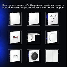 Выключатель с самовозвратом встраиваемый Voltum S70 двухклавишный 10А, (белый матовый) VLS020602 3